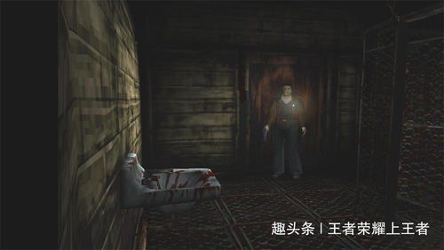 寂静岭F豪华版性价比解析:深度评测推荐 寂静岭F豪华版性价比解析:深度评测推荐