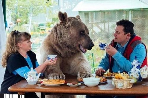 《幼儿园》评测:揭秘7.8分熊孩犯罪现场 《幼儿园》评测:揭秘7.8分熊孩犯罪现场