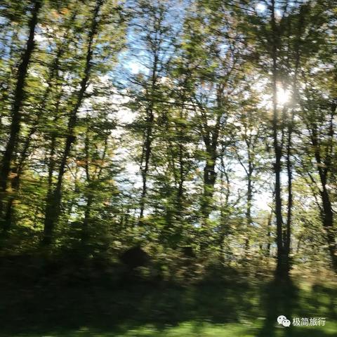 《寂静岭f》新手必看!深度解析探索技巧、战斗攻略与装备升级秘籍 《寂静岭f》新手必看!深度解析探索技巧、战斗攻略与装备升级秘籍