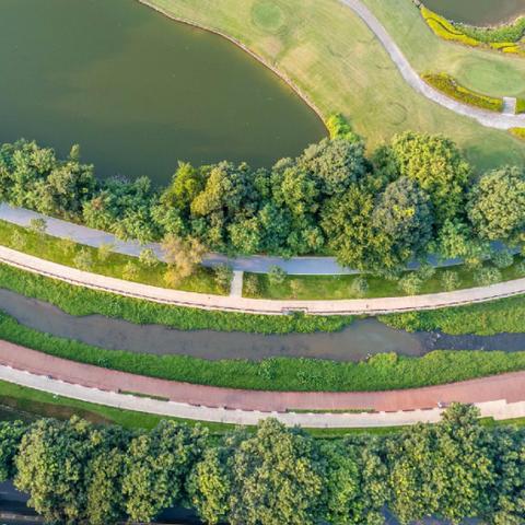 蓝绿魔女BD搭配攻略,解锁《无主之地4》最强战力组合 蓝绿魔女BD搭配攻略,解锁《无主之地4》最强战力组合