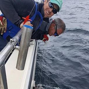 《潜水员戴夫》金枪鱼盛宴攻略:揭秘最佳菜品选择技巧 《潜水员戴夫》金枪鱼盛宴攻略:揭秘最佳菜品选择技巧