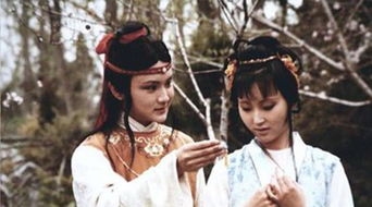 《江湖余生》评测：贾宝玉烦恼揭秘，体验独特江湖人生