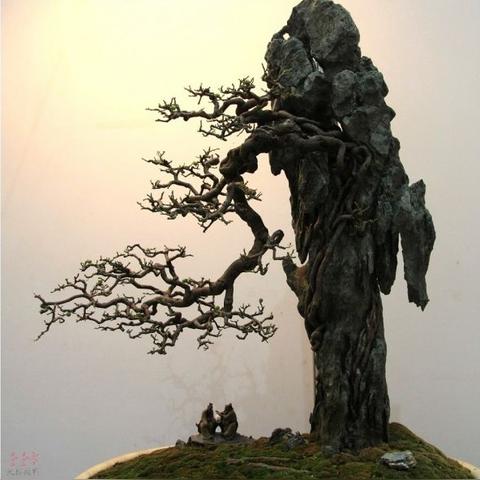 《空洞骑士丝之歌》强力流派揭秘：丝之歌独门玩法助你称霸江湖