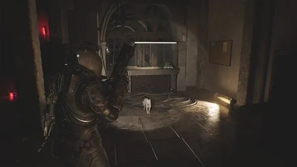 《时间旅者重生曙光》全灵髓秘境探秘攻略，高效收集技巧揭秘