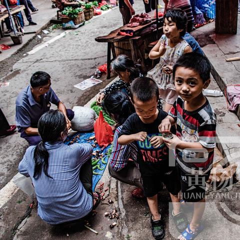 冬季作物盘点:《风之繁华集市》冬季作物价格与生长周期攻略大全 冬季作物盘点:《风之繁华集市》冬季作物价格与生长周期攻略大全