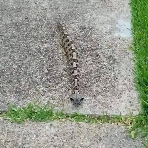 《空洞骑士丝之歌》全工具获取攻略:高效收集秘籍大揭秘 《空洞骑士丝之歌》全工具获取攻略:高效收集秘籍大揭秘