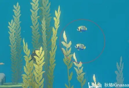 《潜水员戴夫》养鱼场攻略:高效配置技巧大揭秘 《潜水员戴夫》养鱼场攻略:高效配置技巧大揭秘