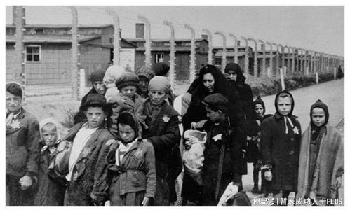 纳粹伤痕揭秘:《我的二人记忆》评测深度解析,探寻历史记忆的真相 纳粹伤痕揭秘:《我的二人记忆》评测深度解析,探寻历史记忆的真相