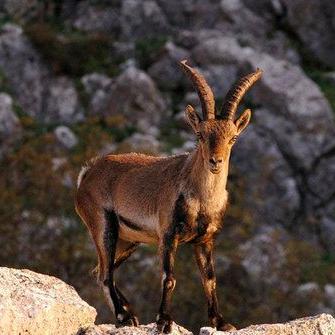 《死亡细胞》评测：品质卓越，无限重开挑战升级