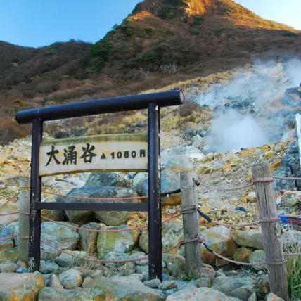 《地狱即我们》揭秘:森林遗迹神秘之门位置与破解密码攻略! 《地狱即我们》揭秘:森林遗迹神秘之门位置与破解密码攻略!