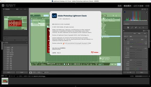 《Pyre》评测：诗意沉浸，中文体验解锁新境界