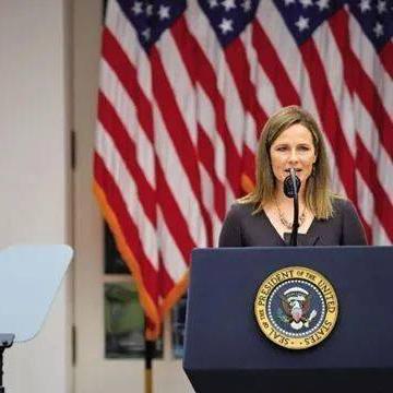 《超级忍反攻》版本对比揭秘：深度解析各版本特色与升级亮点