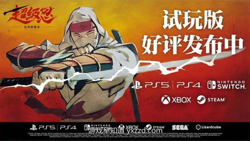 《超级忍反攻》斩击版性价比揭秘：超值体验不容错过