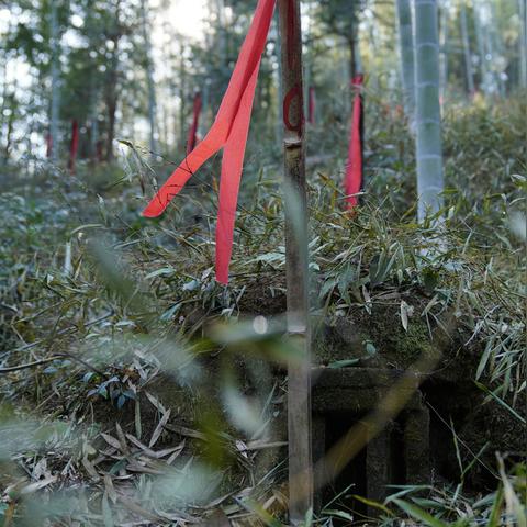 浪漫艺术游戏《勿忘我》深度评测:沉浸式体验,艺术与情感交织的绝美之旅 浪漫艺术游戏《勿忘我》深度评测:沉浸式体验,艺术与情感交织的绝美之旅