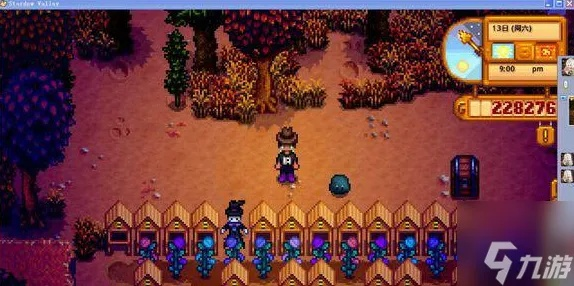 《星露谷物语》巫婆沼泽解锁攻略+任务全解析,轻松掌握! 《星露谷物语》巫婆沼泽解锁攻略+任务全解析,轻松掌握!