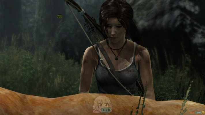 《古墓丽影9》评测:从稚嫩少女到游戏女王,深度解析游戏成长之路 《古墓丽影9》评测:从稚嫩少女到游戏女王,深度解析游戏成长之路