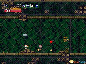 《爱氏物语》独家迷宫攻略:揭秘隐藏宝藏新路径 《爱氏物语》独家迷宫攻略:揭秘隐藏宝藏新路径