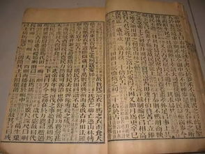 《明末渊虚之羽》朱由检高效攻略:掌握技巧轻松制胜秘籍 《明末渊虚之羽》朱由检高效攻略:掌握技巧轻松制胜秘籍