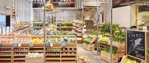 《菜市场模拟器》牧场攻略:揭秘高效动物养殖技巧 《菜市场模拟器》牧场攻略:揭秘高效动物养殖技巧