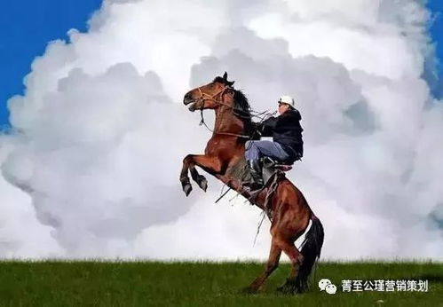 轻松跳过《四海兄弟故乡》骑马环节攻略分享