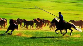 轻松跳过《四海兄弟故乡》骑马环节攻略分享