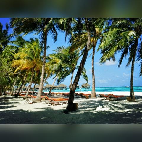 《失落之魂》Steam版超值优惠,揭秘性价比之王! 《失落之魂》Steam版超值优惠,揭秘性价比之王!