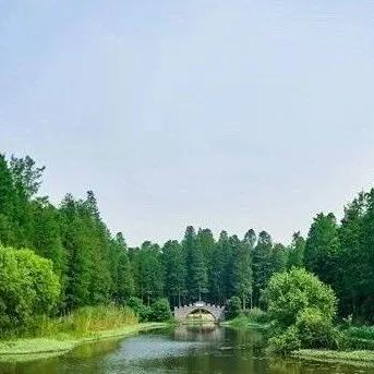 《侏罗纪世界进化3》攻略秘籍：深度解析运营技巧，助你轻松升级！