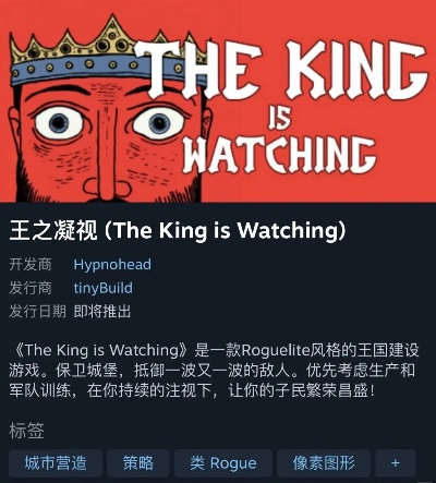 《王之凝视》大鹅流攻略揭秘：掌握独家技巧，轻松畅玩！