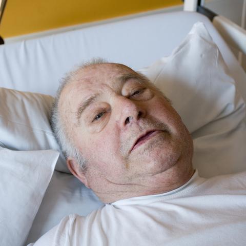 《王之凝视》轮椅流派攻略：深度解析，新手必看秘籍