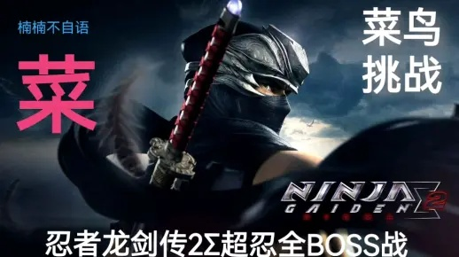 《忍者龙剑传外传怒之羁绊》全BOSS攻略秘籍，轻松通关必备技巧！