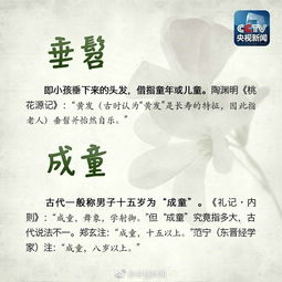 《明末渊虚之羽》药童支线攻略：轻松掌握垂髫小童任务技巧