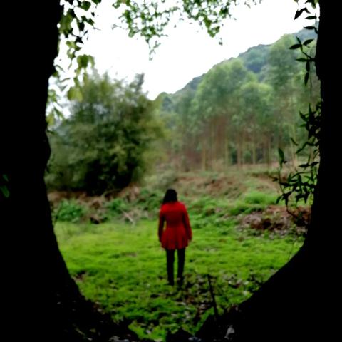 《明末渊虚之羽》武器攻略:新手必看高效入门技巧解析 《明末渊虚之羽》武器攻略:新手必看高效入门技巧解析