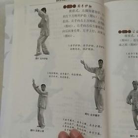 《明末渊虚之羽》禄秉璋招式解析+实战攻略，轻松应对技巧揭秘