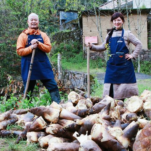 《明末渊虚之羽》竹笋全搜集攻略:揭秘高效获取技巧,轻松解锁隐藏宝藏 《明末渊虚之羽》竹笋全搜集攻略:揭秘高效获取技巧,轻松解锁隐藏宝藏
