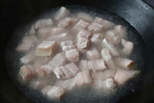 《明末渊虚之羽》快速掌握生覆羽疗愈技巧，解锁神秘获取途径！