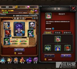 剑星攻略：剑星装备搭配技巧，助你战力飙升！