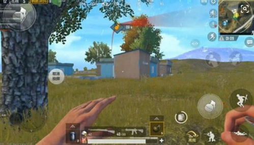 绝地求生手雷王揭秘：揭秘玉面手雷王的绝地求生技巧