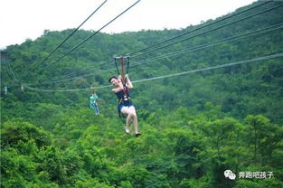 高空滑索建造攻略:揭秘《死亡搁浅2》高效搭建技巧 高空滑索建造攻略:揭秘《死亡搁浅2》高效搭建技巧