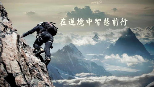 《超逼真攻城》攀岩技巧揭秘:轻松通关攻略大揭秘 《超逼真攻城》攀岩技巧揭秘:轻松通关攻略大揭秘