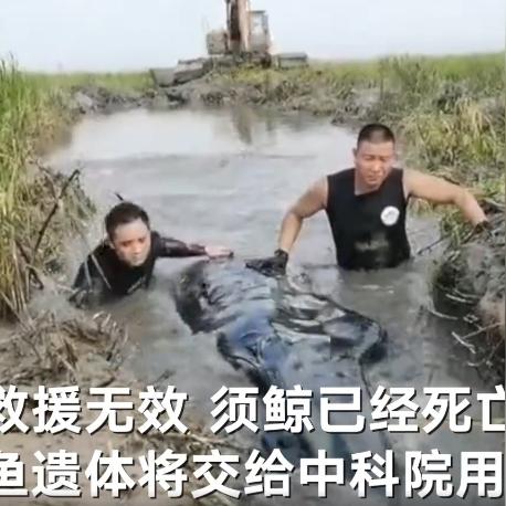 《死亡搁浅2》独家揭秘：生日彩蛋CG大放送，惊喜内容抢先看！