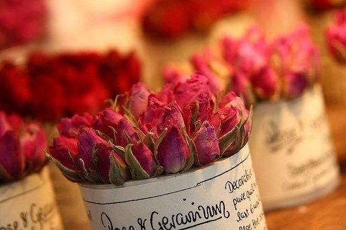 《情感反诈模拟器》玫瑰花攻略:揭秘完美结局达成秘诀! 《情感反诈模拟器》玫瑰花攻略:揭秘完美结局达成秘诀!