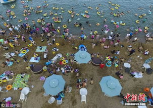 《匹诺曹》探秘:揭秘海边悬崖神秘古老圆盘藏匿地 《匹诺曹》探秘:揭秘海边悬崖神秘古老圆盘藏匿地