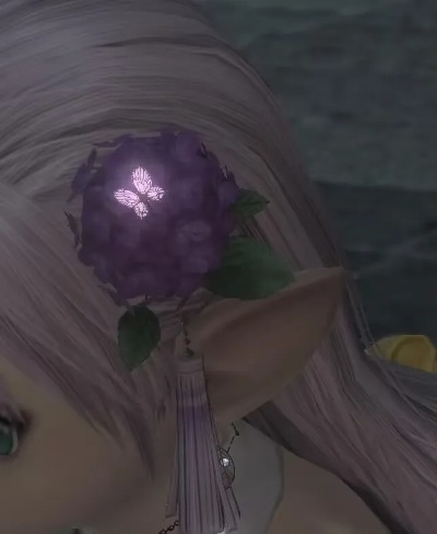 《剑星》绣球花服装攻略：轻松获取绣球花秘籍大揭秘