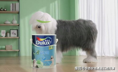 《泡姆泡姆》新手攻略：轻松上手，掌握独特游戏技巧