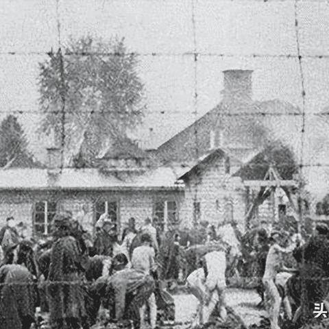 《沙丘觉醒》搬家攻略：揭秘高效搬家技巧，轻松实现快速迁移