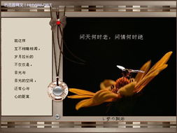 绝区零仪玄音擎升级必备！音擎推荐，解锁全新战斗体验