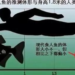 《幻想生活i》化石碎片攻略：轻松解锁神秘碎片获取技巧