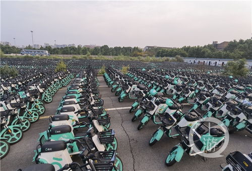 澄辉坪小卡格车全攻略揭秘：高效收集技巧分享