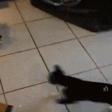 《马里奥赛车世界》联机攻略:轻松实现本地多人畅玩新体验 《马里奥赛车世界》联机攻略:轻松实现本地多人畅玩新体验