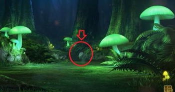 宝可梦ZA御三家进化揭秘：探索御三家神秘进化之路